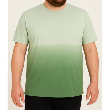 Bigdude Ombre T-Shirt Green
